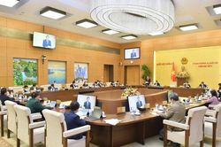 Đầu tư hoàn chỉnh đường Hồ Chí Minh theo quy hoạch mạng lưới đường bộ Việt Nam