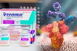 Kháng thể dự phòng Covid-19 cho người thuộc nhóm nguy cơ sắp về Việt Nam