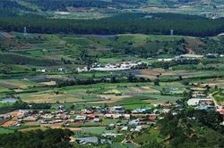 Cụm 4 nhà máy điện gió ảnh hưởng gần 1.700ha rừng phòng hộ xin vào quy hoạch điện VIII