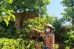 Ô nhiễm môi trường do chăn nuôi heo