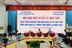 Ngành tôm đặt mục tiêu năm 2022 xuất khẩu hơn 4 tỷ USD