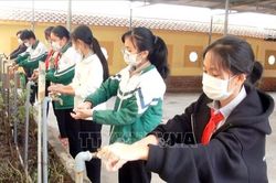 Quảng Bình triển khai linh hoạt các giải pháp, bảo đảm an toàn trường học