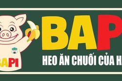 HAGL tung sản phẩm thịt heo ra thị trường, tặng 1.000 cổ đông mỗi người 4 kg thịt