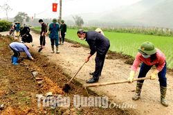 Hội Nông dân tỉnh tham gia trồng 400 m tuyến đường hoa tại xã Hợp Thành
