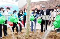 Hội LHPN Thanh Hóa hưởng ứng trồng cây xanh chào mừng thành công Đại hội đại biểu Phụ nữ XIII