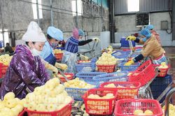 Bước nhảy vọt trong hoạt động xuất khẩu