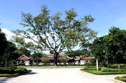 Khơi đúng mạch nguồn văn hóa