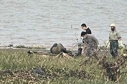 Hải Phòng: Người đàn ông tử vong trong tư thế bị trói, cơ thể cột vào tảng đá