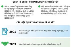 Quan hệ chính trị giữa Việt Nam và Sierra Leone