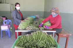 Ninh Thuận: Gần 730 tỷ đồng thực hiện chương trình giảm nghèo bền vững