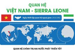 Quan hệ Việt Nam - Sierra Leone