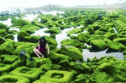 Xuân về, Phú Yên lại hiện lên một 'thiên đường rêu xanh' đẹp mê ly