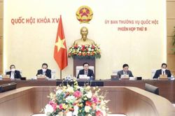 Đẩy mạnh các giải pháp quản lý, kiểm soát hiệu quả giá cả hàng hóa