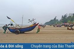 Cuối tuần thăm chợ hải sản lớn nhất Sầm Sơn