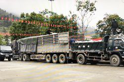 Si Ma Cai tiếp nhận và cấp phát hơn 160 tấn gạo hỗ trợ học sinh vùng khó khăn