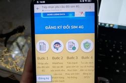Đà Nẵng cảnh giác thủ đoạn nâng cấp sim, chiếm đoạt tài sản