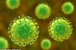 Vaccine chống virus Nipah nguy hiểm, hiệu quả sau 3 ngày tiêm