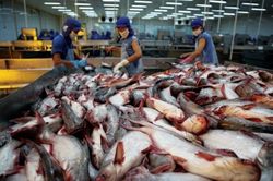 Doanh nghiệp cần lưu ý gì khi xuất khẩu thủy sản sang Trung Quốc?