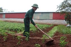Cựu chiến binh Trần Văn Hiệp - Tấm gương sáng trong làm kinh tế và công tác hội