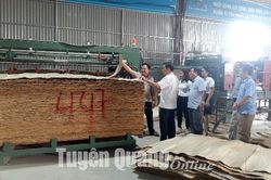 Đầu tư đổi mới công nghệ, tạo sản phẩm mới