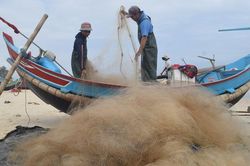 Ngư dân vùng bãi ngang buồn vì sản lượng bấp bênh, giá dầu tăng cao