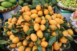 Thanh trà đầu mùa giá rẻ những vẫn 'ế' khách