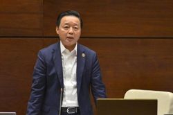 Cần tăng chế tài xử lý đối với vi phạm trong đấu giá đất