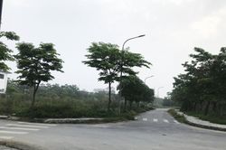 Công tác đấu giá quyền sử dụng đất còn nhiều bất cập