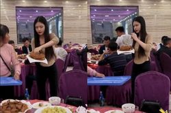 Cô gái bất ngờ giật đĩa thức ăn rồi ngấu nghiến giữa bàn tiệc sang trọng, biết lý do ai nấy đều đồng tình