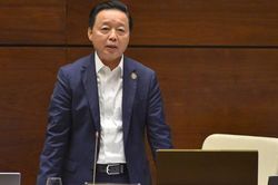 Bộ Tài nguyên và Môi trường nói gì về hiện tượng 'quân xanh - quân đỏ', bỏ cọc trong đấu giá đất?