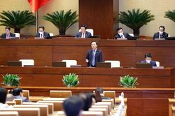 Đấu giá đất không chỉ 'thổi giá, dìm giá' mà còn 'quân xanh, quân đỏ'