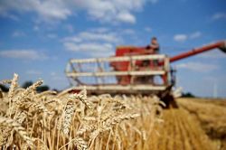 UNCTAD: Triển vọng của kinh tế thế giới xấu đi do xung đột ở Ukraine