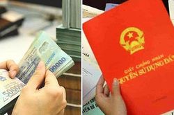 Có tiền nên gửi tiết kiệm ngân hàng hay đầu tư mua đất, cái nào sinh lời nhanh hơn?