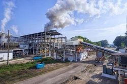 Năng lượng sinh khối: Cần cơ chế thúc đẩy đầu tư