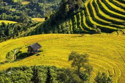 Quảng bá du lịch và văn hóa Việt Nam tại 'Ngày cuối tuần Pháp ngữ'