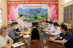 Công ty Đồng Giao khảo sát lập phương án thu mua dứa tại Mường Khương và Bảo Thắng