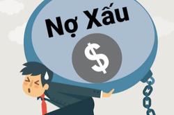 Có nên luật hóa Nghị quyết 42?