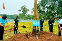 Phụ nữ Hải Phòng phát động trồng và chăm sóc 10 nghìn cây xanh