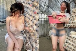 Mỹ nhân 'mặc như không mặc' đi thu hoạch nấm, người nhìn phát ngại