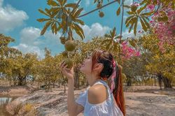 Có gì trong nhà vườn rộng 20.000 m2 ở Đồng Nai của Minh Hằng?