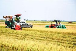 Phát huy tiềm năng, lợi thế, xây dựng huyện Hải Lăng ngày càng phát triển