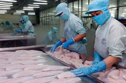 Xuất khẩu thủy sản sang Trung Quốc hồi phục mạnh