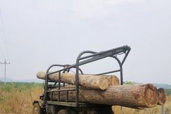 Kon Tum: Bắt xe 'bò vàng' vận chuyển gỗ lậu trên dòng Sê San