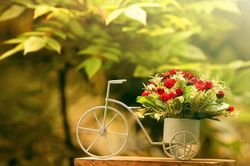 Cuộc sống như mơ hay thực tế chỉ là một vở kịch?