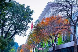Hà Nội - Khúc giao mùa tháng 3