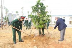 Đời sống Đời sống Hướng đến mô hình 'Công viên mùa Xuân' tại các khu quy hoạch, điểm xanh trên địa bàn