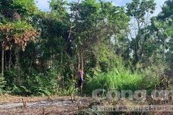 Sáng ra vườn tưới rau, tá hỏa phát hiện người treo cổ trên cây