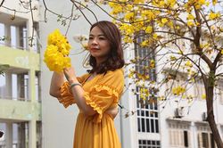 Chị em 'đổ xô' check-in đường hoa phong linh mới khi địa điểm cũ đóng cửa