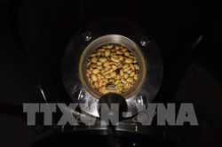 Nhập khẩu cà phê của Hàn Quốc tăng cao nhất từ trước tới nay