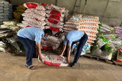 Đắk Nông kiên quyết 'trảm' nạn phân bón giả